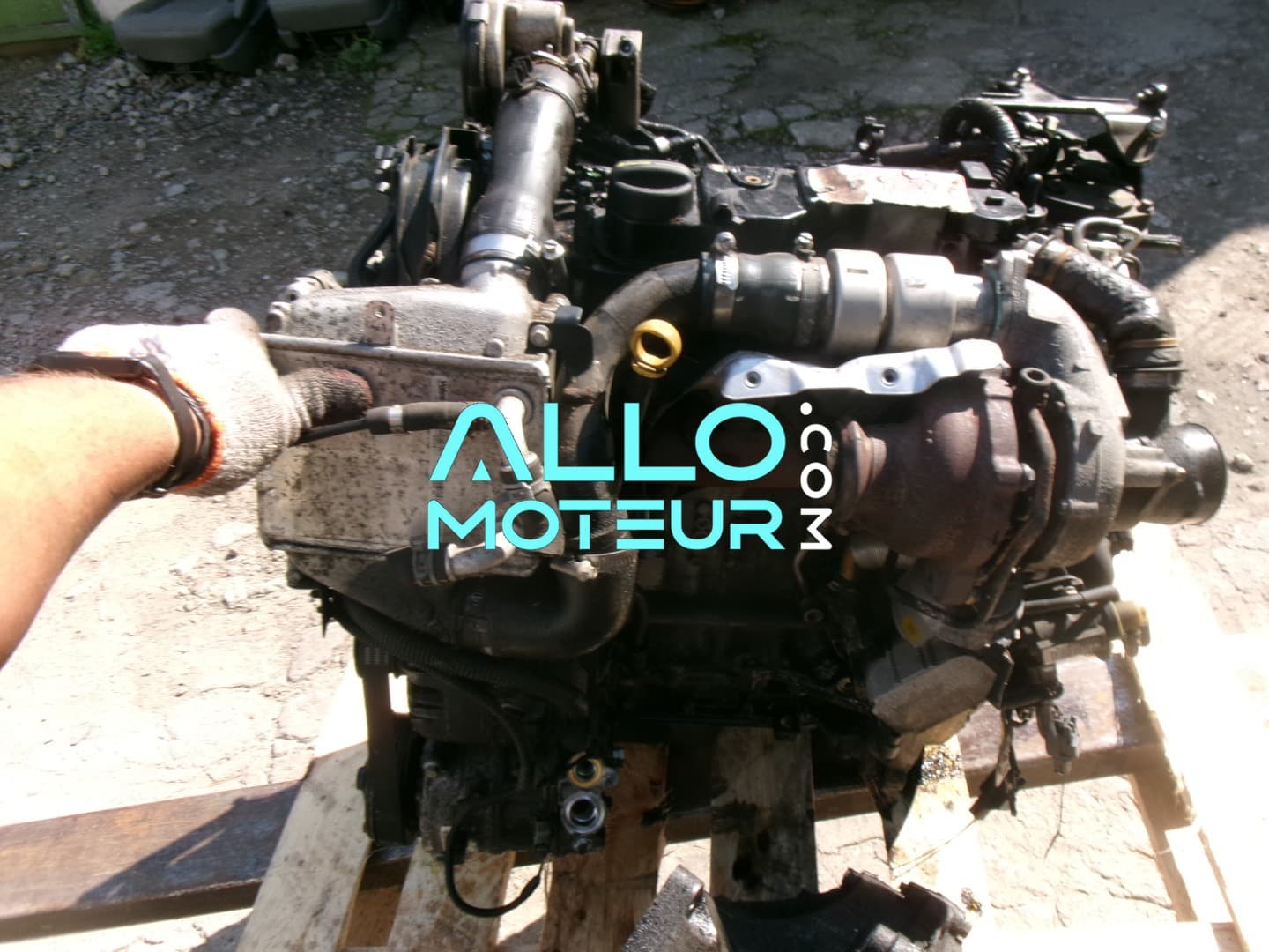 Moteur complet FORD focus 1.6 tdci NGDB