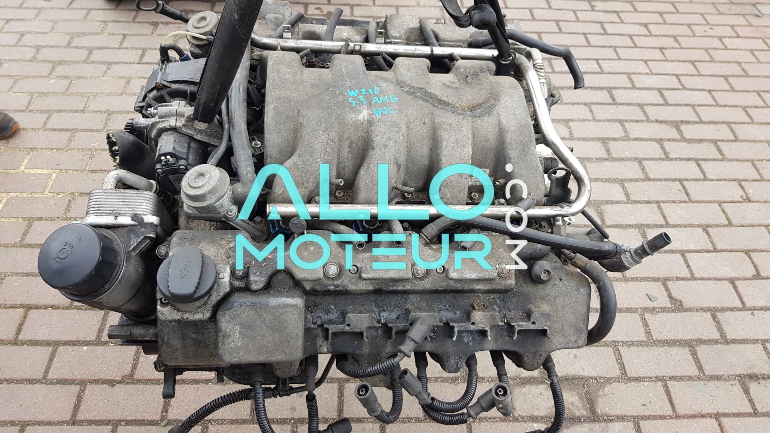 Moteur complet MERCEDES W210 E55 5.5 AMG 113980