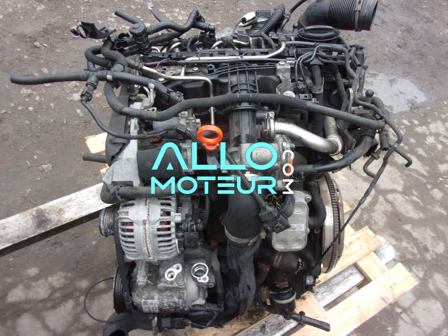Moteur complet SEAT VOLKSWAGEN SKODA ibiza golf fabia 1.6 tdi CAYA