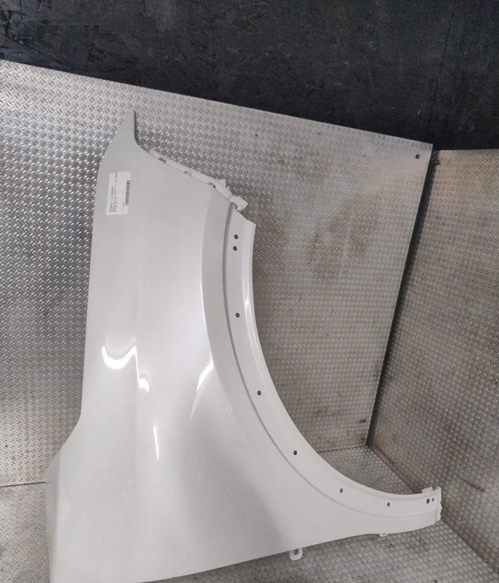 Aile avant droite RENAULT SCENIC 5 SCENIC 5 occasion