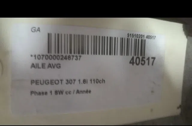 Aile avant gauche PEUGEOT 307 2005 occasion