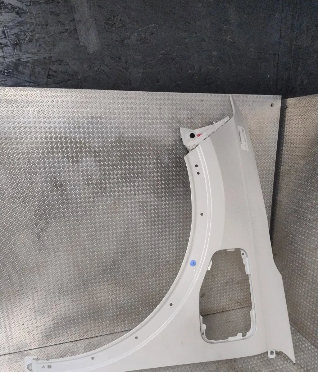 Aile avant gauche RENAULT SCENIC 5  SCENIC 5 occasion