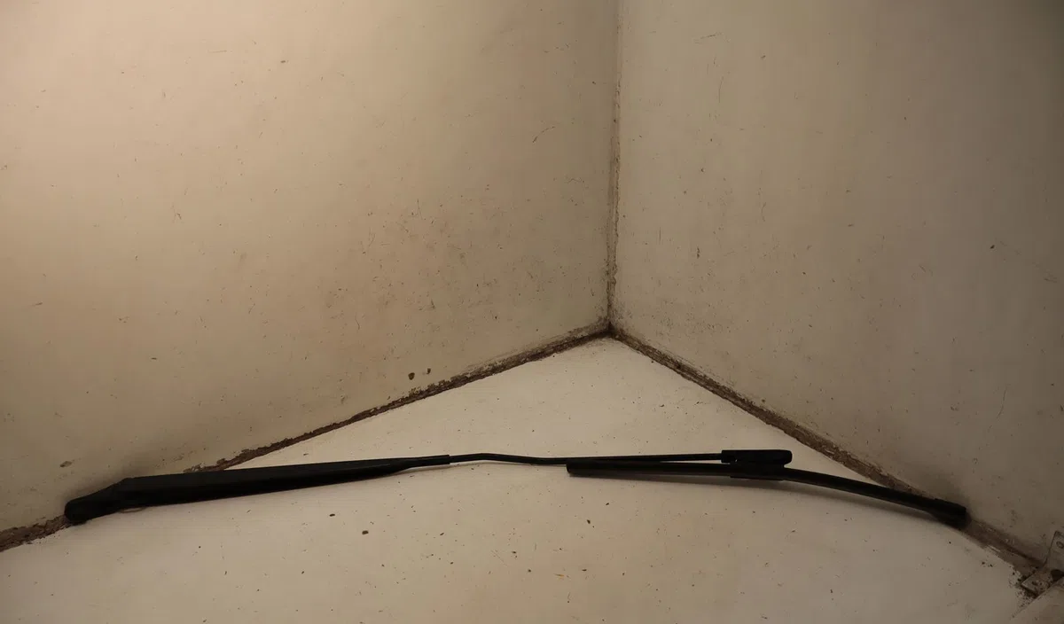 Bras essuie-glace avant droit Renault CLIO III (BR0-1, CR0-1) 1.5 dci (br17, cr17) (2005-2012) 5 portes occasion