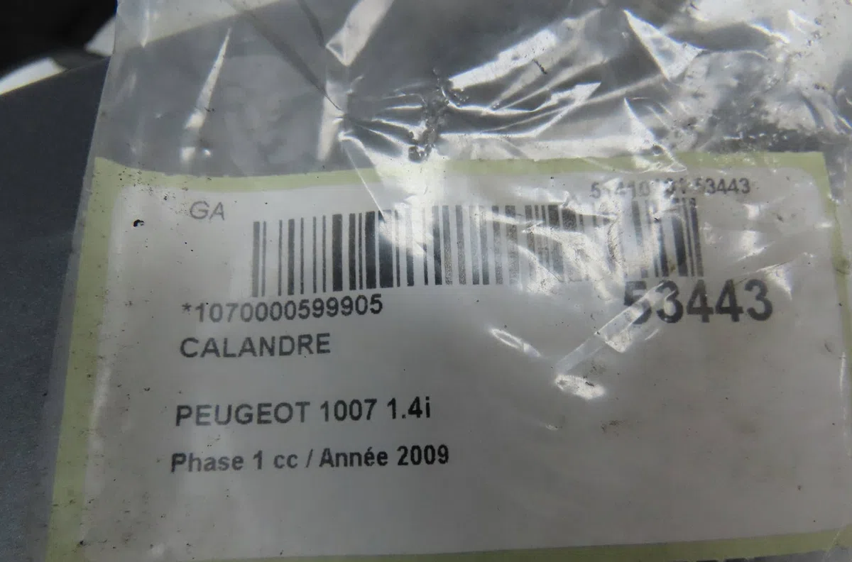Calandre Peugeot 1007 (KM_) 1.4 (2005) occasion