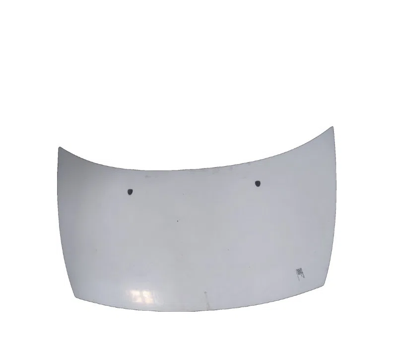 CAPOT CITROEN C3 00007901K6