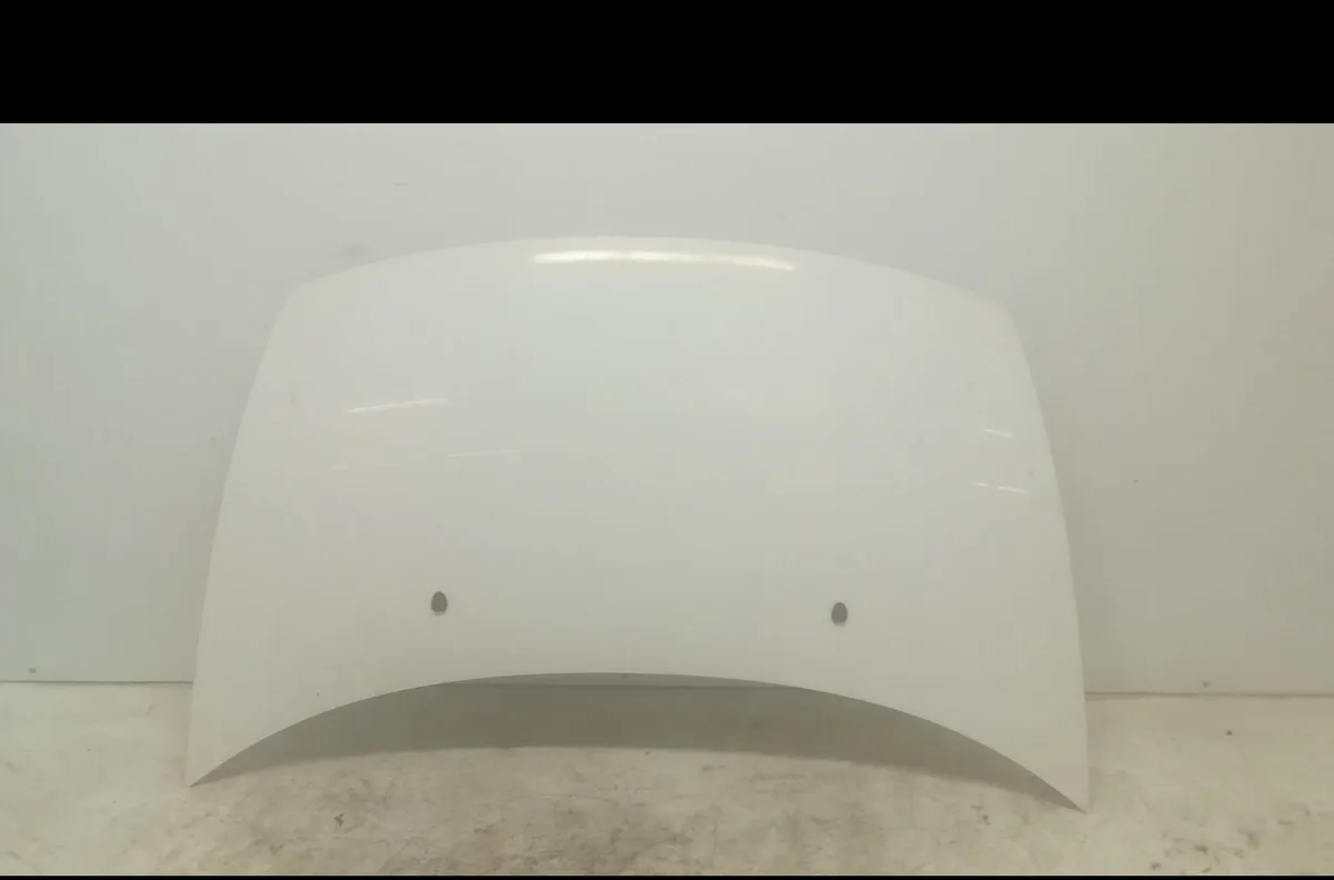 Capot Citroen C3 I (FC_, FN_) 1.4 i (2002-2010) 5 portes occasion