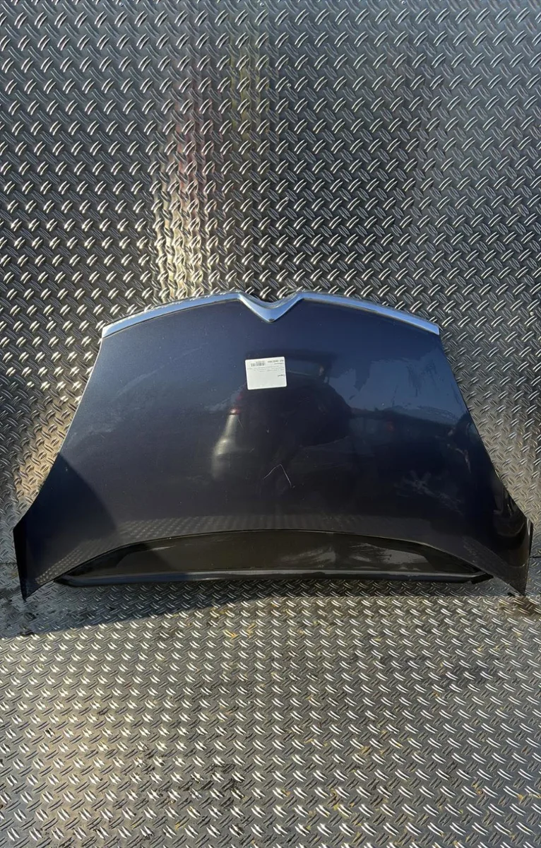 Capot Citroen C4 PICASSO I Monospace (UD_) 1.6 hdi 110 (2010-2013) 5 portes occasion