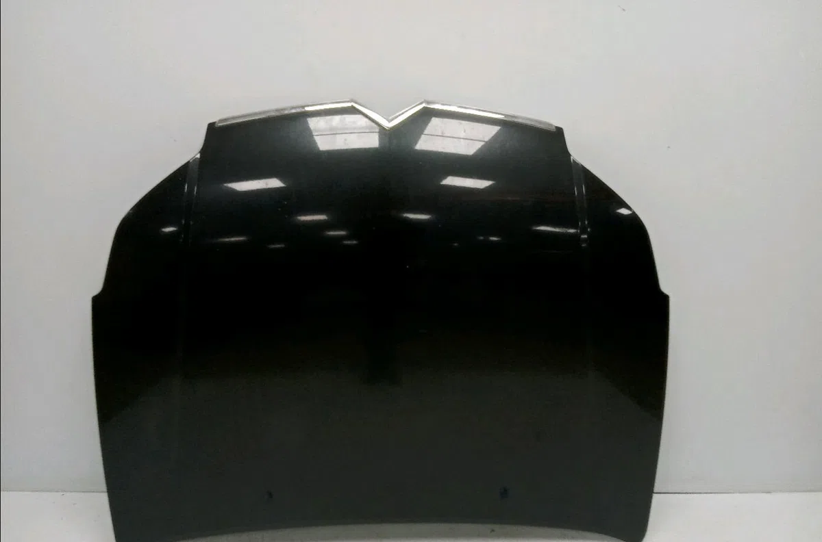 Capot CITROEN C5 I 2006 occasion