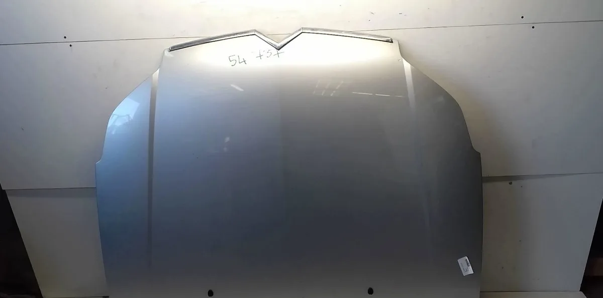 Capot Citroen C5 II Break (RE_) 1.6 hdi (re9hzc, re9hyb) (2004-2008) occasion