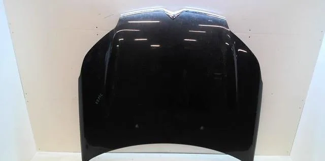 Capot Citroen C5 III Break (RW_) 1.6 hdi 110 (2008) occasion