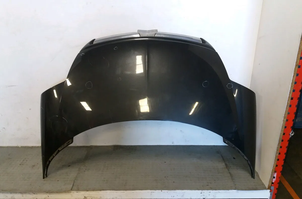 Capot Citroen C8 (EA_, EB_) 2.0 hdi 135 (2006) occasion