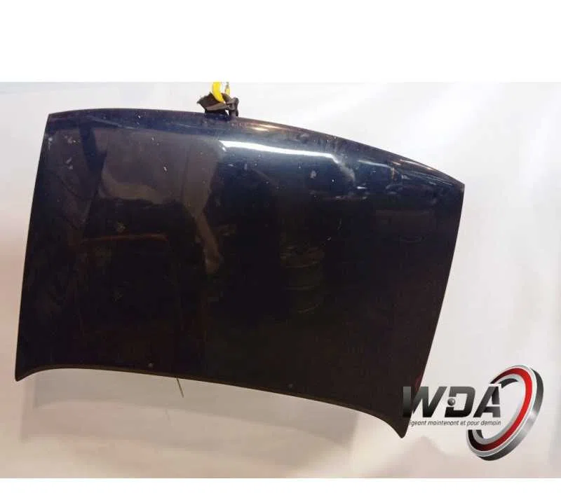 CAPOT CITROEN SAXO 00007901F6