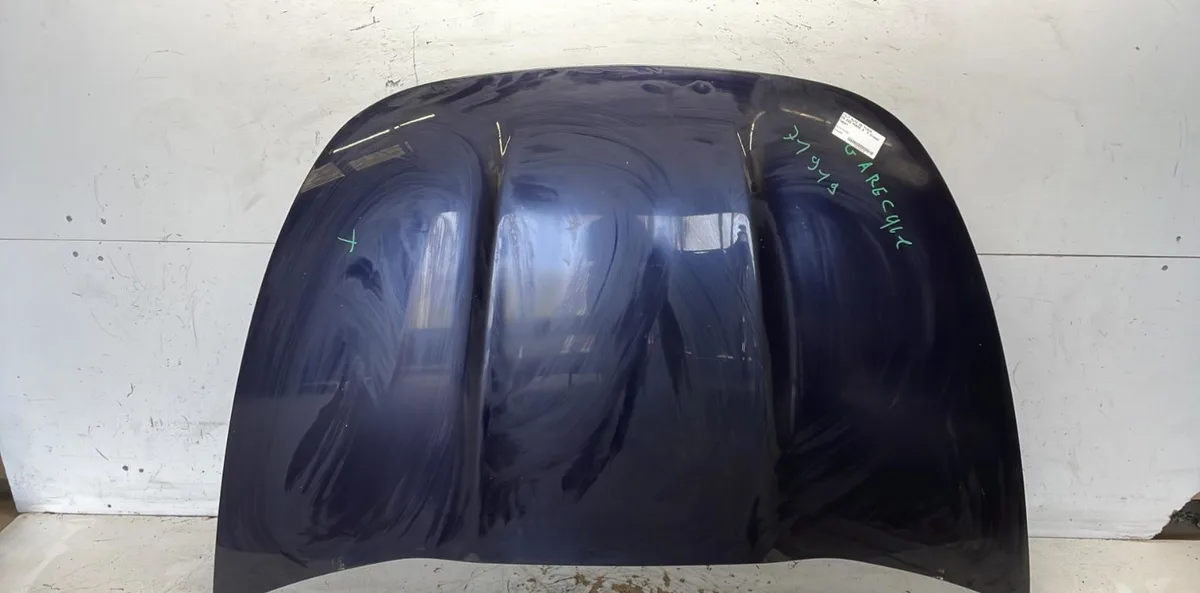 Capot Ds DS 5 (KF_) 2.0 hybrid4 (2015-2018) occasion