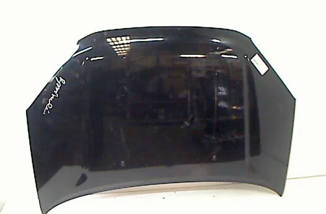 Capot DS DS4 2002 occasion