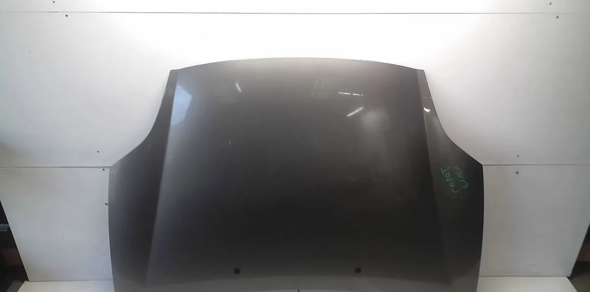 Capot Fiat BRAVO II (198_) 1.6 d multijet (198axh1b) (2007-2014) 5 portes occasion