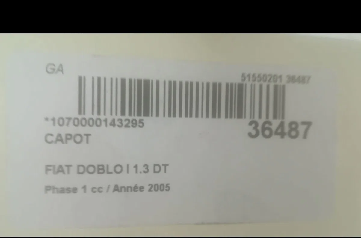 Capot Fiat DOBLO Monospace (119_, 223_) 1.3 jtd 16v (2004-2005) occasion