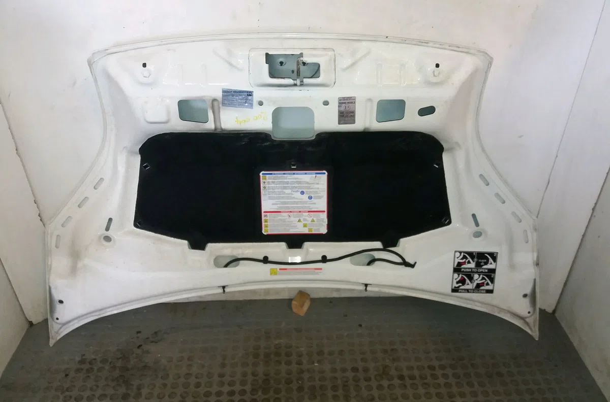 Capot Fiat FIORINO Camionnette-Monospace (225_) 1.3 d multijet (225bxe1a) (2009) occasion