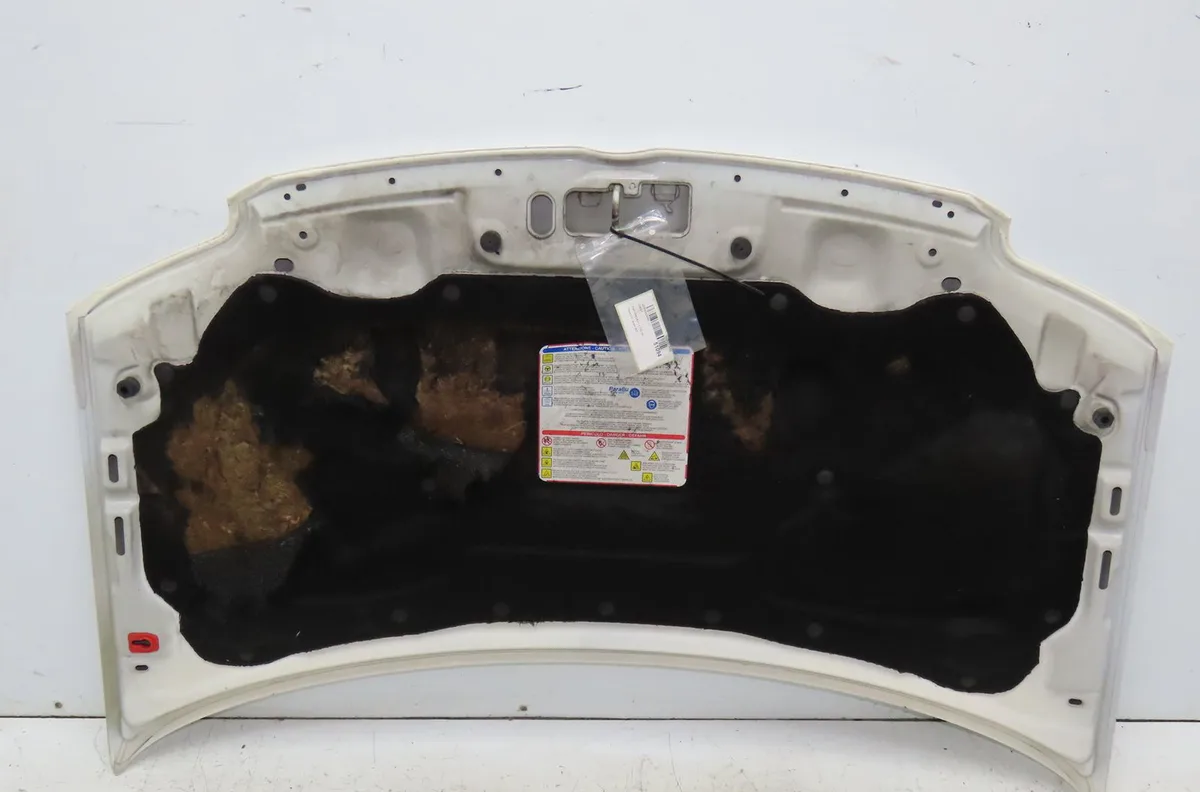 Capot Fiat PANDA (169_) 1.3 d multijet (169axg1a, 169axd1a) (2006-2013) occasion