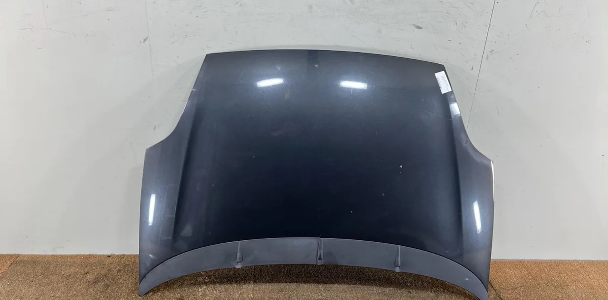 Capot Fiat PUNTO EVO (199_) 1.3 d multijet (199axc1a, 199bxc1a, 199axt1a, 199bxt1a) (2009-2012) 3 portes occasion