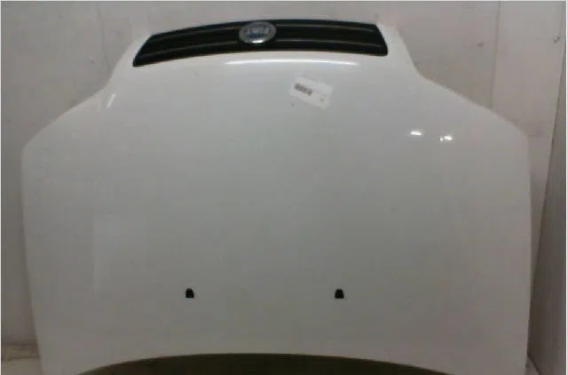 Capot FIAT PUNTO II occasion