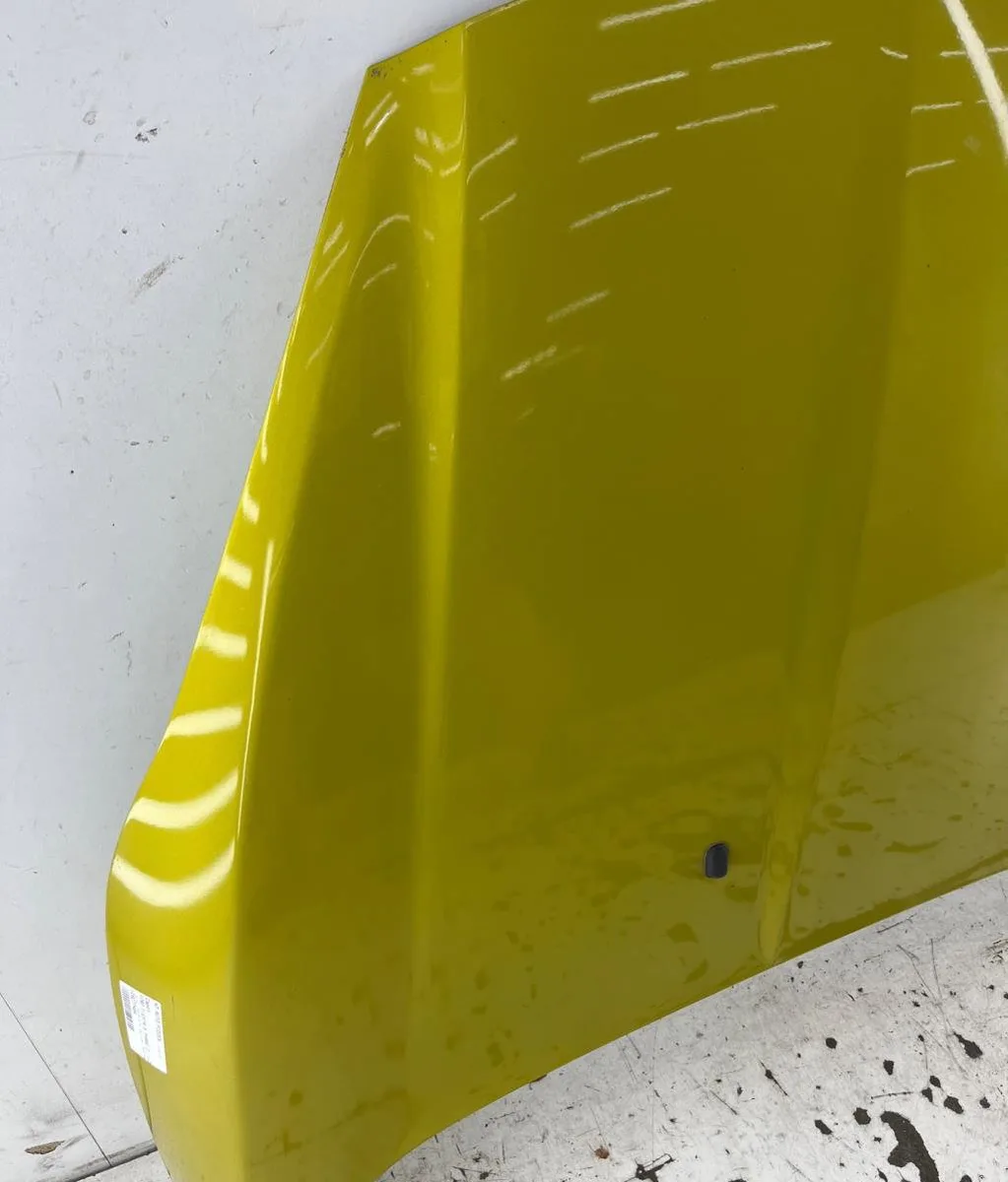Capot FORD FIESTA 6 PHASE 2 occasion
