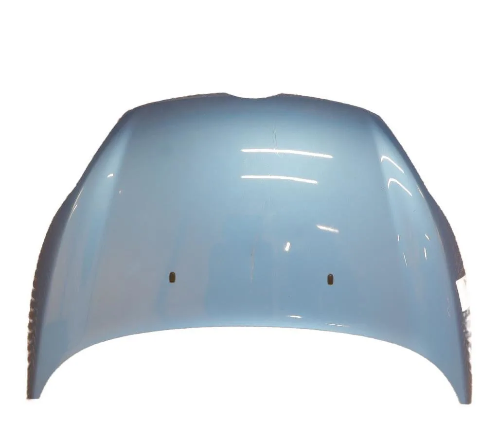 Capot Ford FIESTA VI (CB1, CCN) 1.6 tdci (2008-2012) occasion