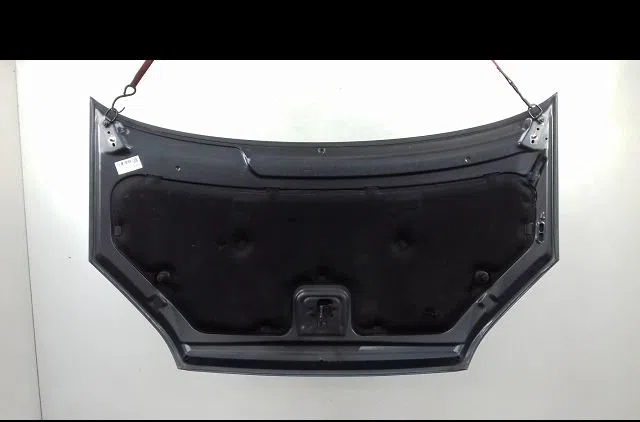 Capot Ford FOCUS C-MAX (DM2) 1.8 (2004-2007) occasion
