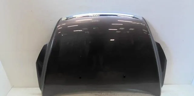 Capot Ford FOCUS II Décapotable 2.0 tdci (2006-2010) occasion