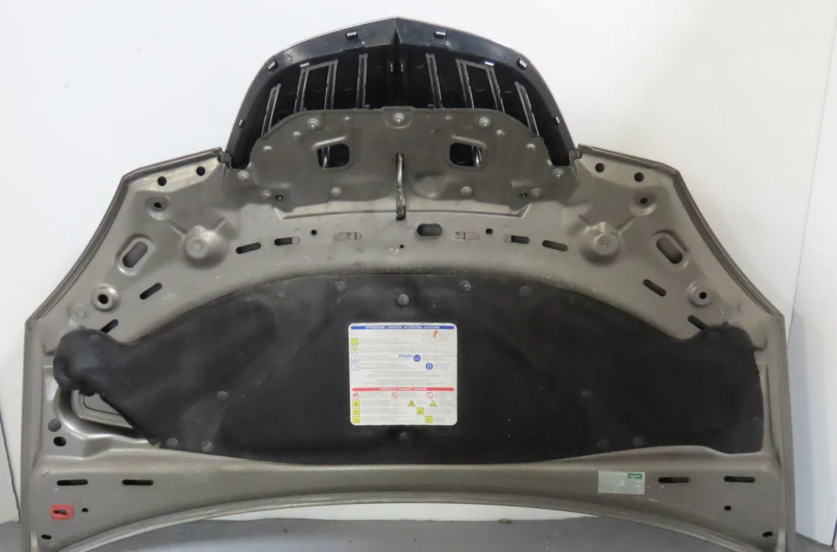 Capot Lancia MUSA (350_) 1.3 d multijet (350.axg11, 350.axg1a) (2006-2012) occasion