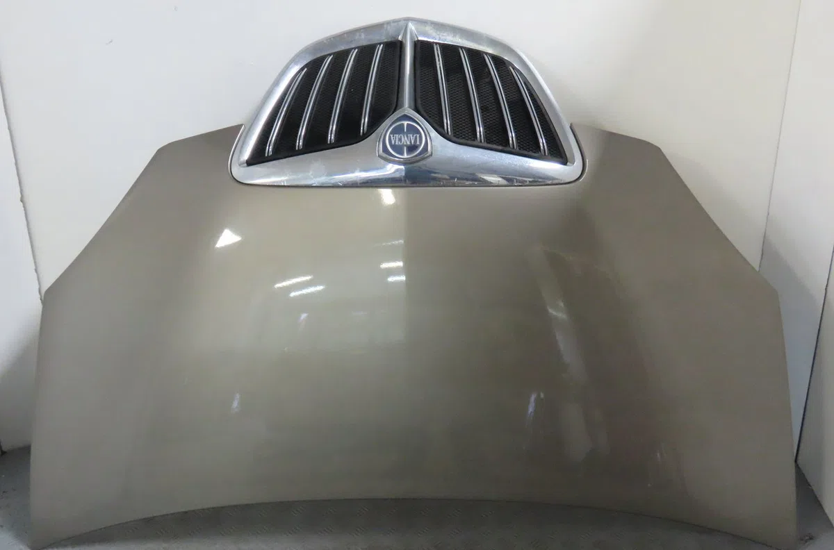 Capot Lancia MUSA (350_) 1.3 d multijet (350.axg11, 350.axg1a) (2006-2012) occasion