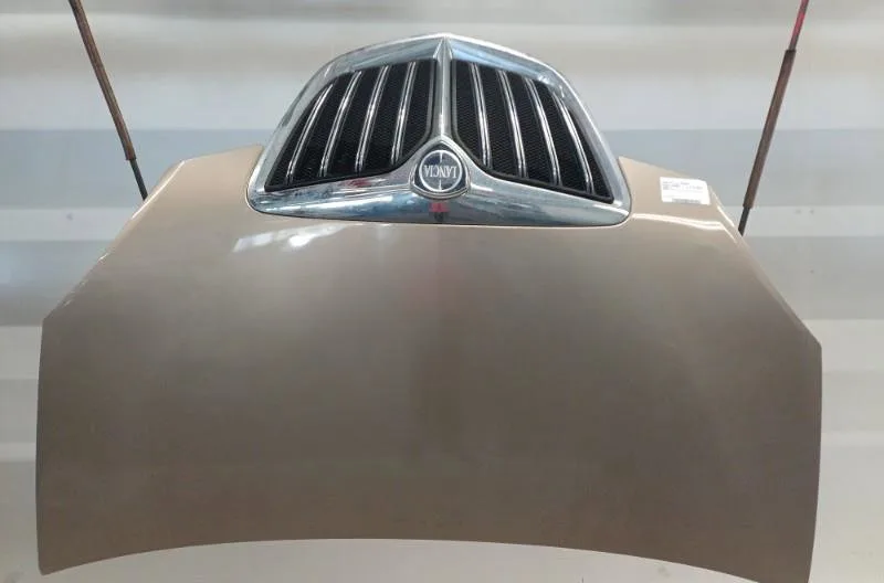 Capot LANCIA MUSA PHASE 1 occasion