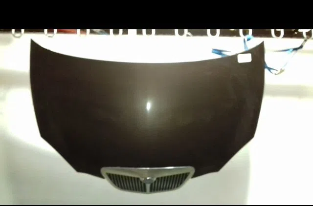 Capot Lancia YPSILON (843_) 1.3 d multijet (843.axe11, 843.axe1a) (2006-2011) occasion