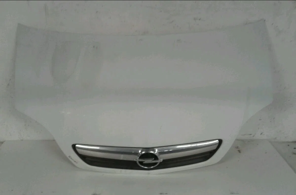 Capot OPEL MERIVA 2009 occasion