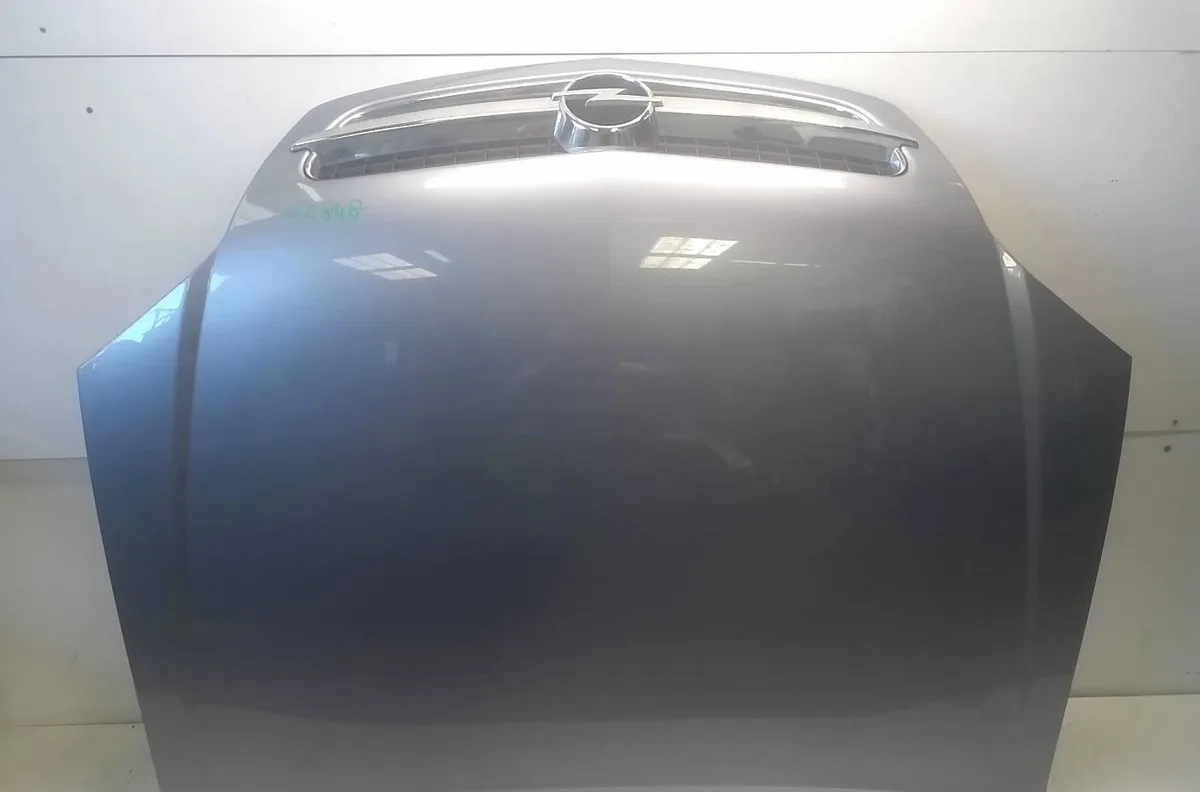 Capot Opel VECTRA C (Z02) 2.2 dti 16v (f69) (2002-2004) occasion