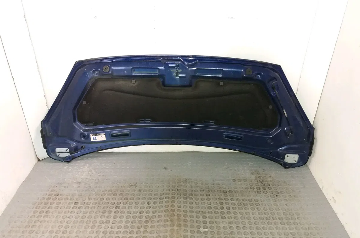 Capot Peugeot 1007 (KM_) 1.4 hdi (2005) occasion