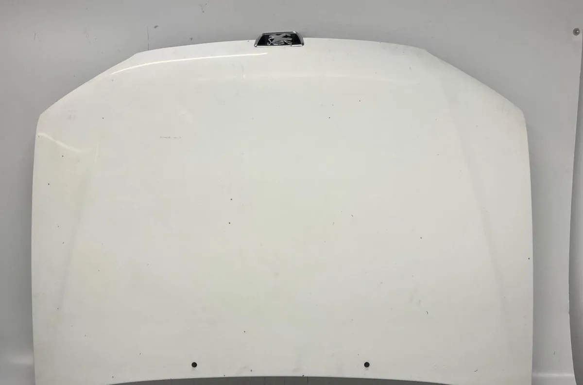 Capot PEUGEOT 106 PHASE 2 occasion