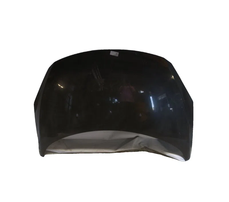 CAPOT PEUGEOT 307 00007901L9