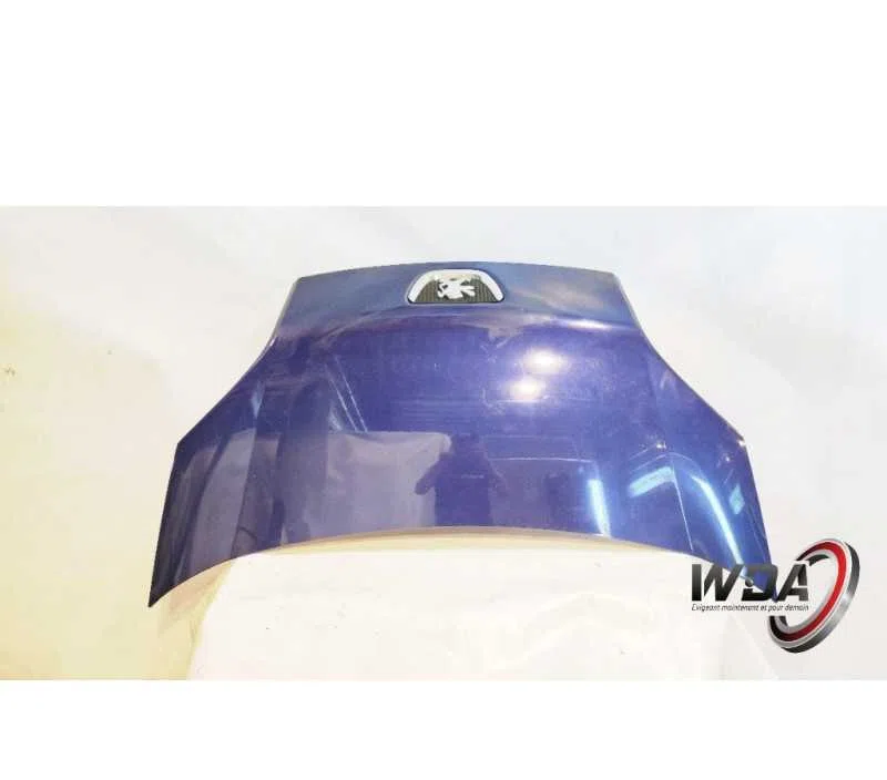CAPOT PEUGEOT BIPPER TEPEE 00007901Q0