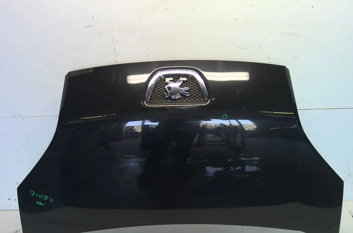 Capot Peugeot BIPPER TEPEE 1.3 hdi 75 (2010) occasion