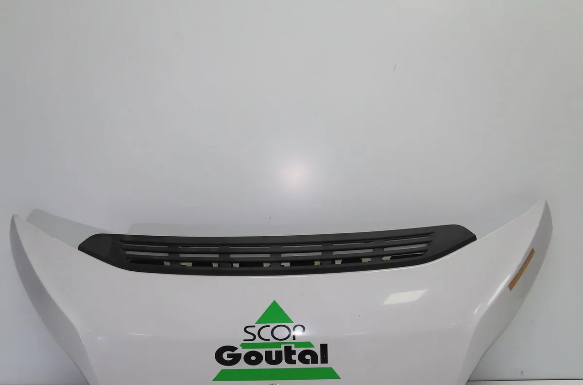 Capot Peugeot BOXER Camionnette 2.2 bluehdi 140 (2019) occasion