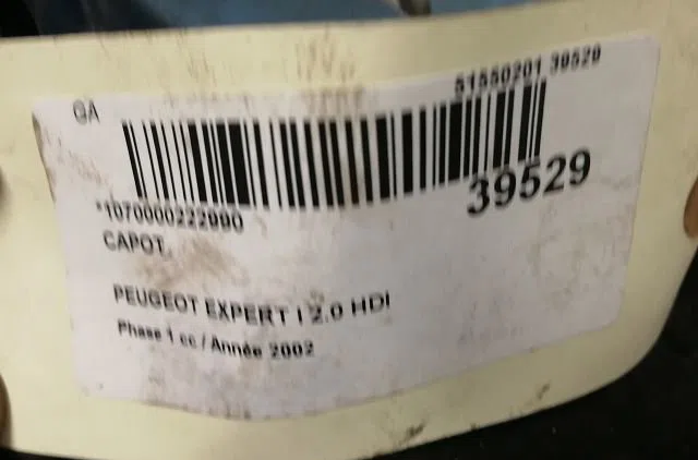 Capot Peugeot EXPERT (224_) 2.0 hdi (2000-2006) occasion