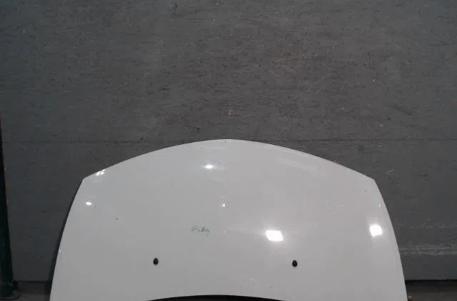 Capot RENAULT CLIO 3  CLIO 3 PHASE 2 occasion