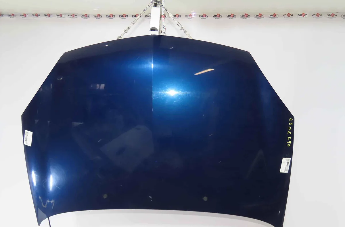 Capot RENAULT CLIO II occasion