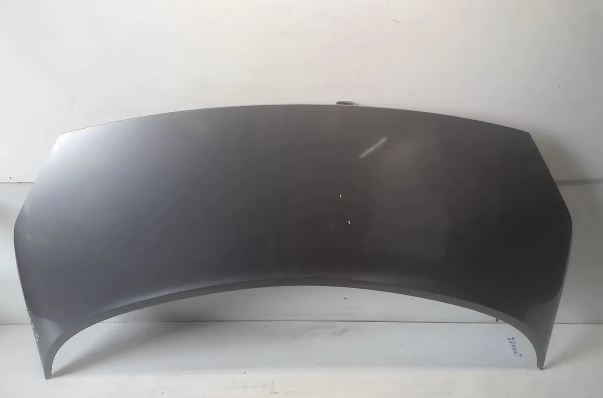 Capot Renault GRAND SCÉNIC II (JM0-1_) 1.9 dci (jm14) (2004-2008) occasion