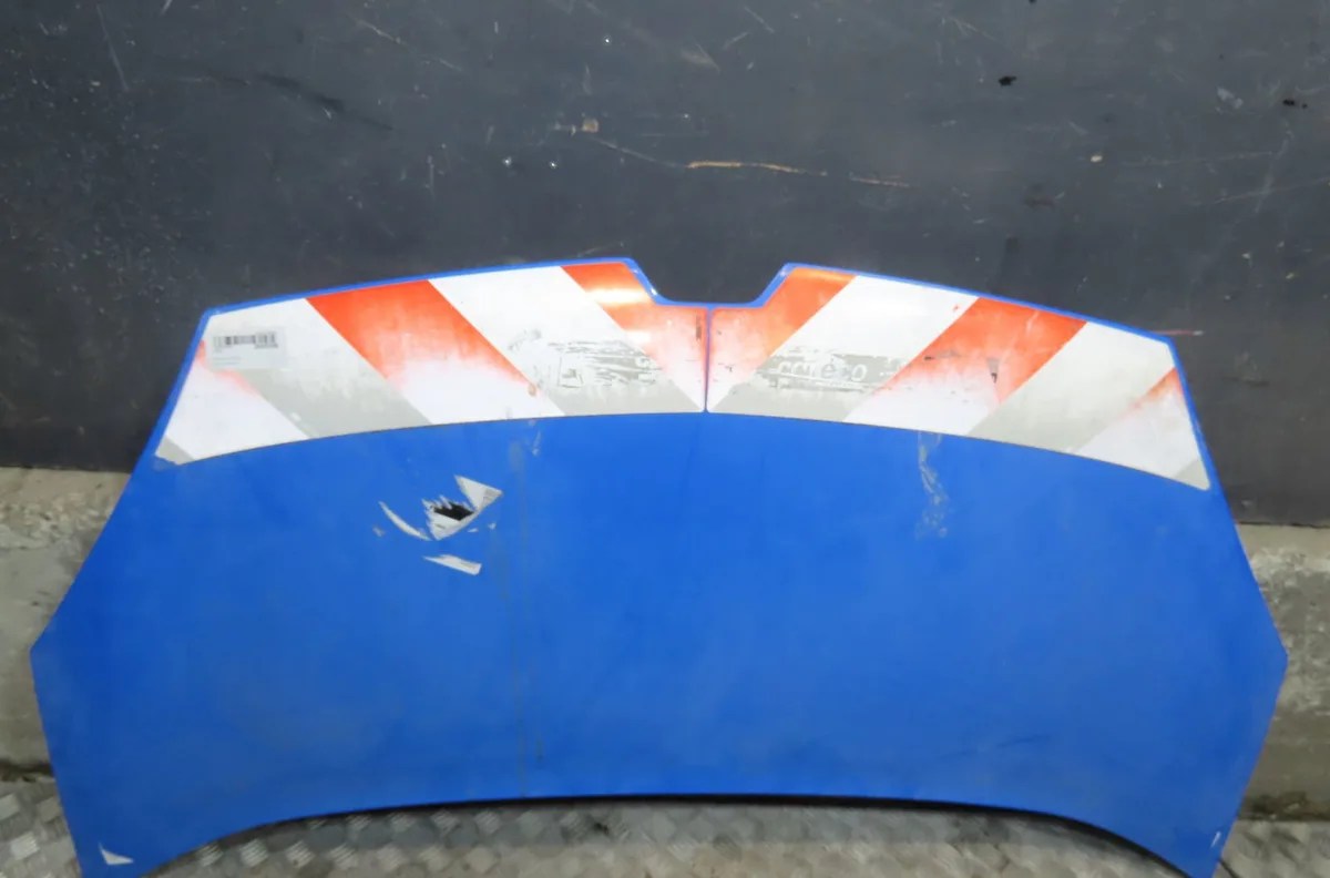 Capot Renault KANGOO Express (FW0-1_) 1.5 dci 90 (fw0g, fw05, fw08, fw11) (2009) 4 portes occasion