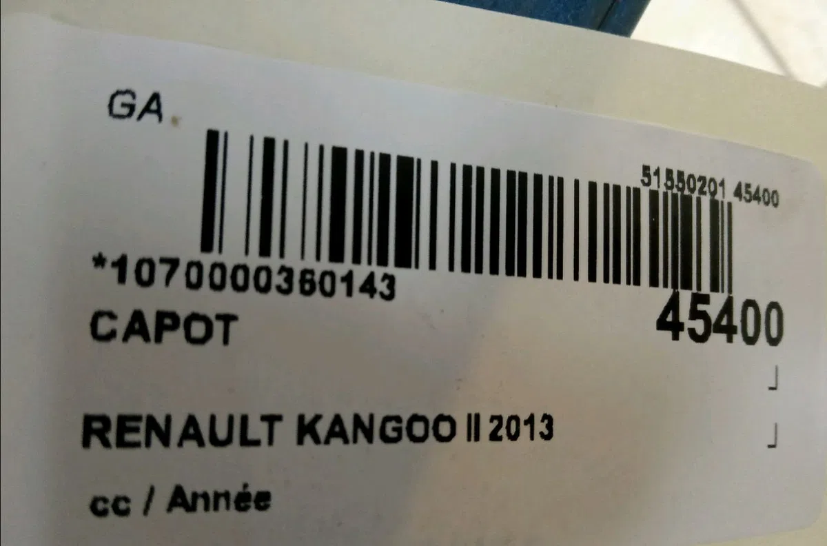 Capot Renault KANGOO - GRAND KANGOO II (KW0-1_) 1.5 dci 110 (kw0c, kw0h) (2010) occasion