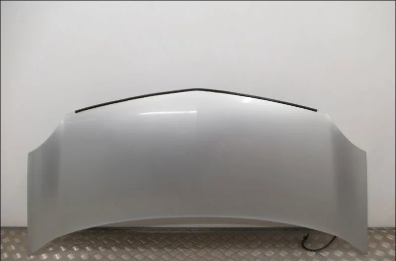 Capot Renault KANGOO - GRAND KANGOO II (KW0-1_) 1.6 (kw00, kw0y, kw0e, kw0n, kw0p) (2008) occasion