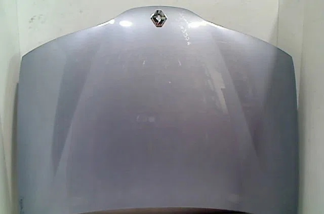 Capot RENAULT LAGUNA II 2002 occasion