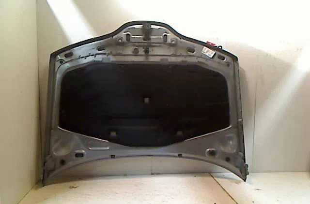Capot Renault LAGUNA II Grandtour (KG0-1_) 1.6 16v (kg0a, kg0l) (2001-2007) occasion