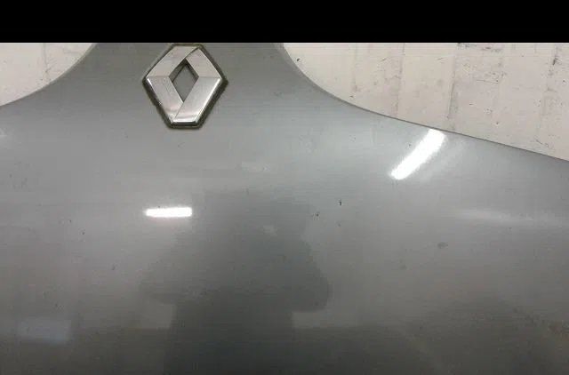 Capot Renault MEGANE Scenic (JA0-1_) 1.6 e (ja0f) (1996-1999) occasion